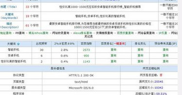 網站流量的增加