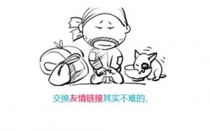 網站優化技巧之友情鏈接篇