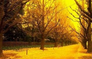 秋季該如何養生