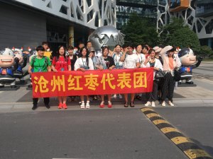 厲害了我的金絲小棗之鄉--1688食品生鮮行業發布會