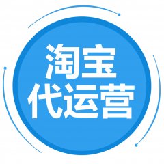 淘寶代運營案例數據展示