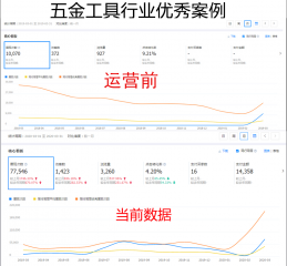 技術三部—阿里旺鋪代運營案例