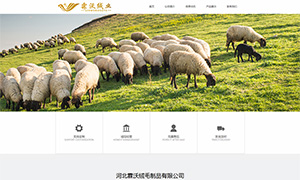 霖沃絨毛制品